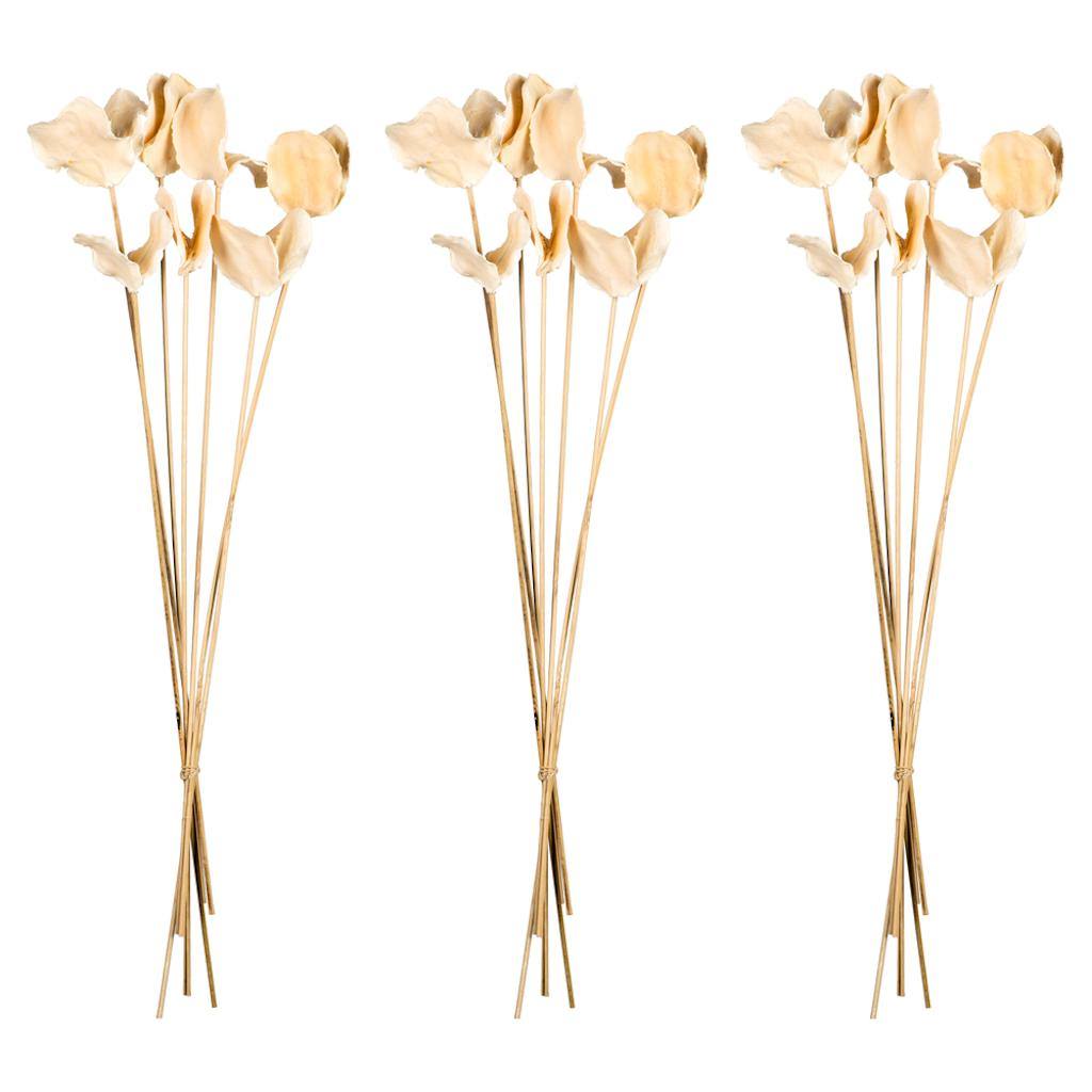 15"-17" Bleached Preserved Jacaranda Pod Stems (3 pack) 1
