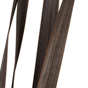 18"-30" Brown Dried Snake Grass Stems (36 stems) 3