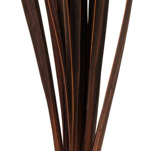 18"-30" Brown Dried Snake Grass Stems (36 stems) 4