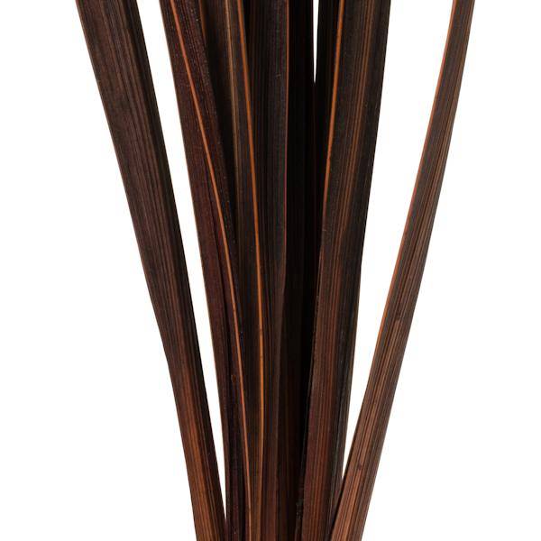 18"-30" Brown Dried Snake Grass Stems (36 stems) 4