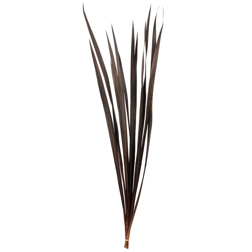 18"-30" Brown Dried Snake Grass Stems (36 stems) 1