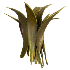 6"-12" Basil Preserved Palm Paddles (45-50 pieces) 1
