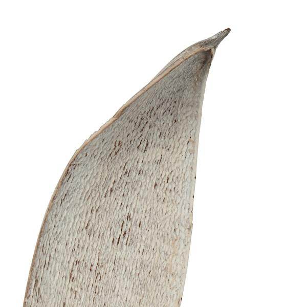 24"-30" White Wash Preserved Palm Paddles (3 pack) 4