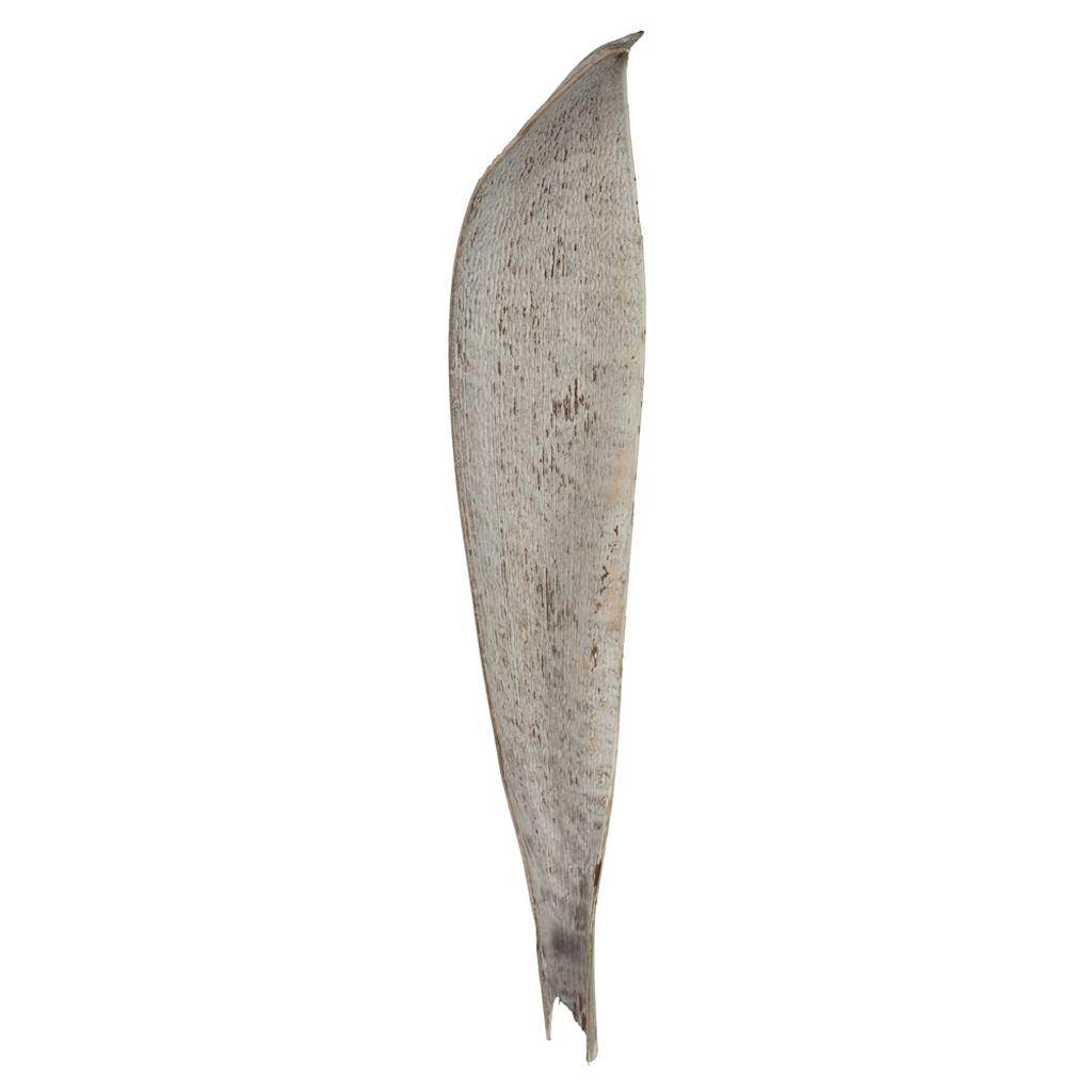 24"-30" White Wash Preserved Palm Paddles (3 pack) 1