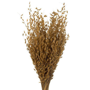 30" 21oz Natural Dried Princess Grass Bundle (3 7oz bundles) 3
