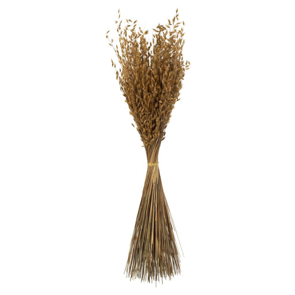 30" 21oz Natural Dried Princess Grass Bundle (3 7oz bundles) 1