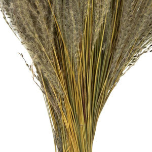 14"-20" 9oz Natural Dried Snowdrop Grass Bundle (3 3oz bundles) 4