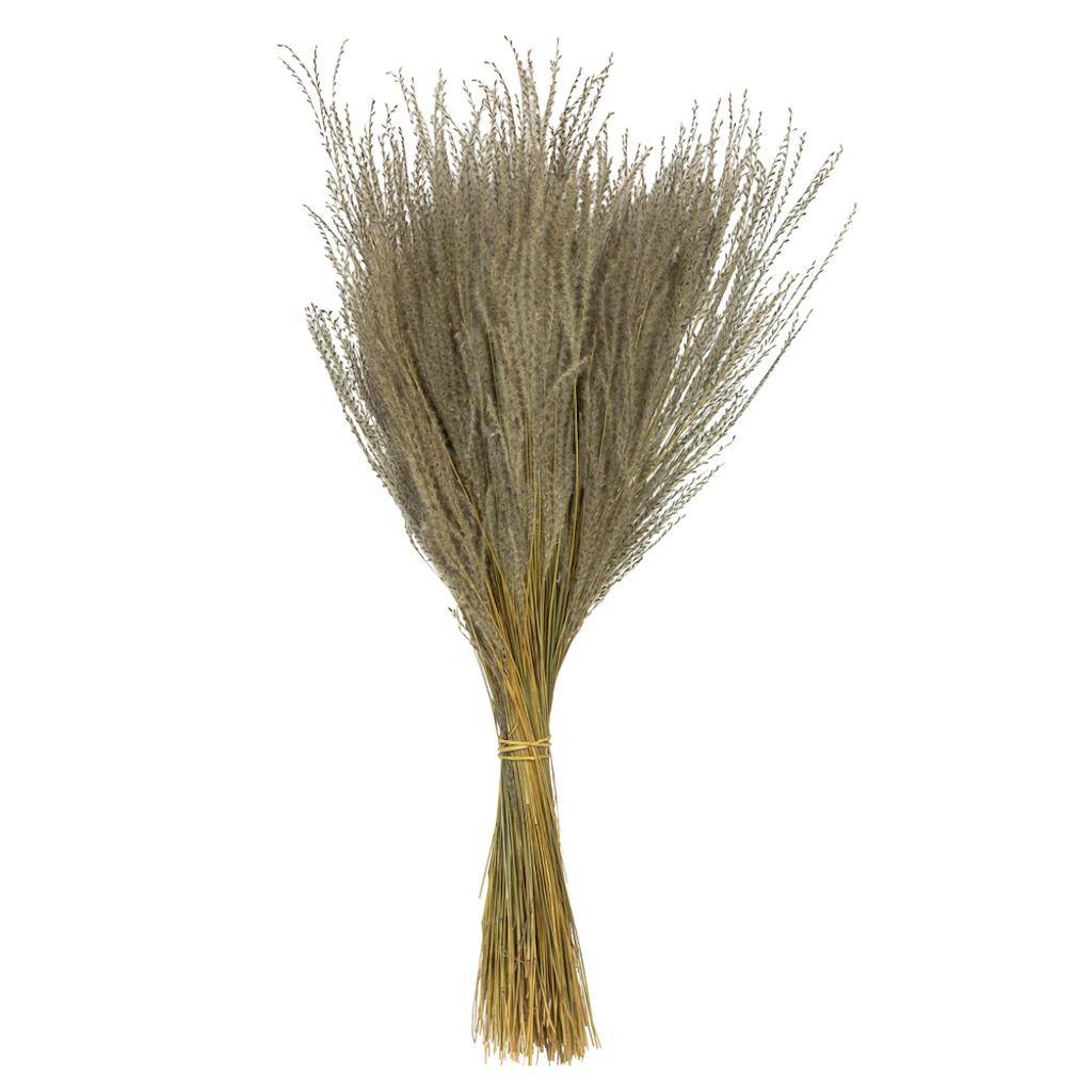 14"-20" 9oz Natural Dried Snowdrop Grass Bundle (3 3oz bundles) 1