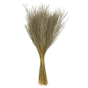 14"-20" 9oz Natural Dried Snowdrop Grass Bundle (3 3oz bundles) 1