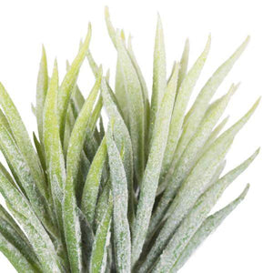 5" Artificial Seneco Succulent Pick (6 pack) 2