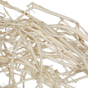 32" Bleached Begun Tree Branches (5 Pack) 2