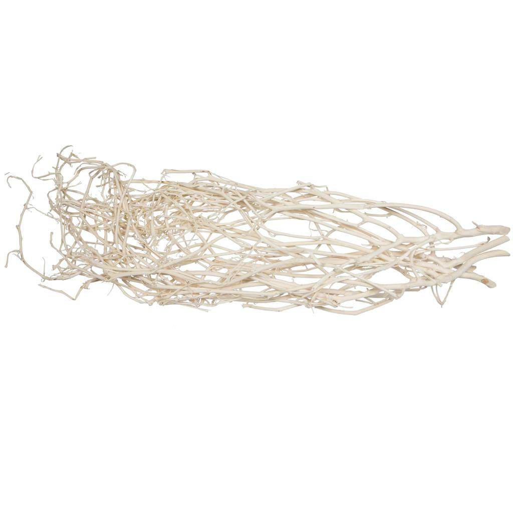 32" Bleached Begun Tree Branches (5 Pack) 1