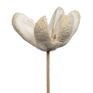 20" Bullet Flower Bleached on Stem (50 Pack) 2