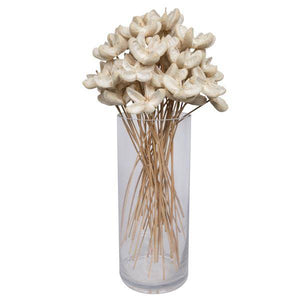 20" Bullet Flower Bleached on Stem (50 Pack) 3