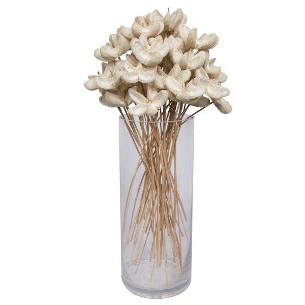 20" Bullet Flower Bleached on Stem (50 Pack) 3
