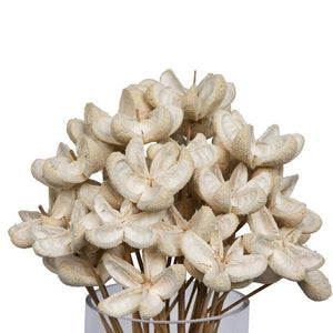20" Bullet Flower Bleached on Stem (50 Pack) 4