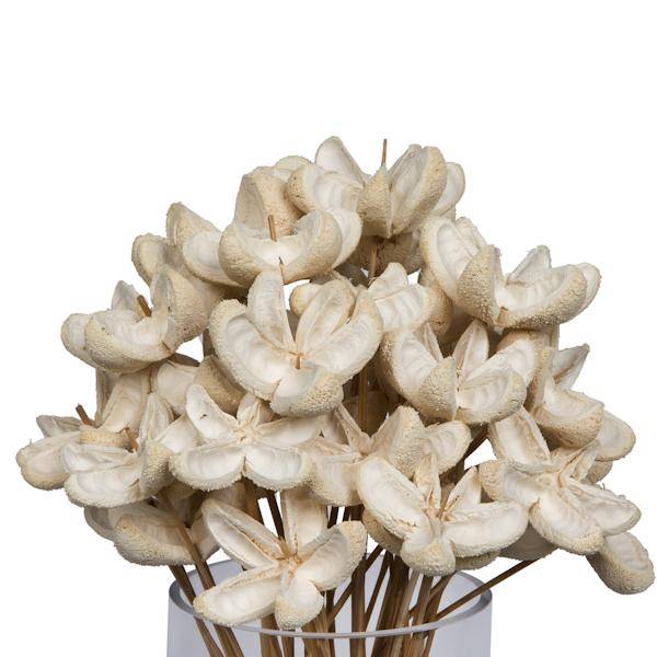 20" Bullet Flower Bleached on Stem (50 Pack) 4