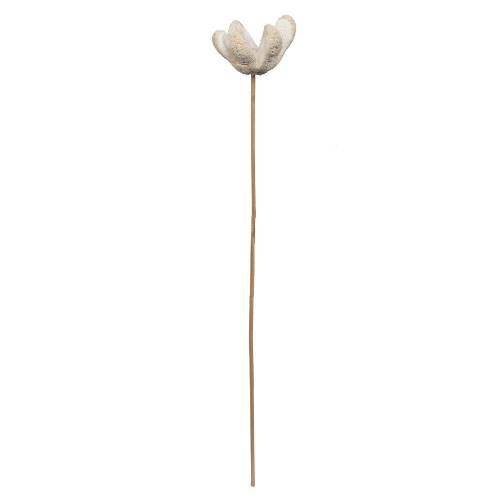 20" Bullet Flower Bleached on Stem (50 Pack) 1