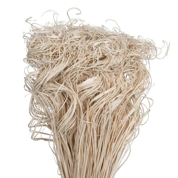24" Curly Bleached Ting Ting Bunch (6 Pack) 2