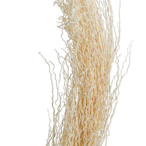 8"-12" Khejur Jhar Bleached Palm Stem (8 pack) 2