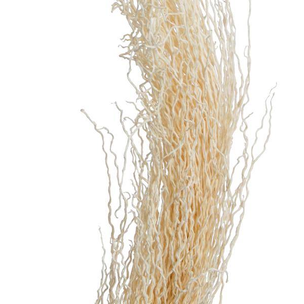 8"-12" Khejur Jhar Bleached Palm Stem (8 pack) 2