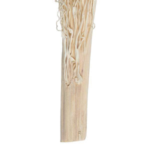 8"-12" Khejur Jhar Bleached Palm Stem (8 pack) 3