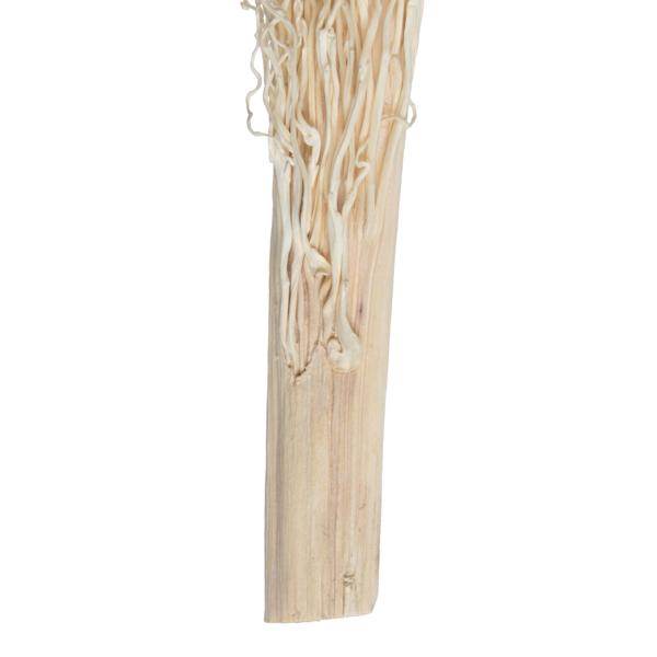 8"-12" Khejur Jhar Bleached Palm Stem (8 pack) 3