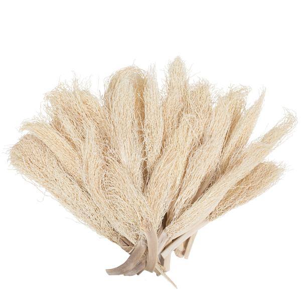 8"-12" Khejur Jhar Bleached Palm Stem (8 pack) 4