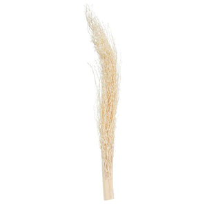 8"-12" Khejur Jhar Bleached Palm Stem (8 pack) 1