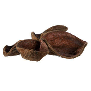 3.2"-4" Land Lotus (50 pack) 3
