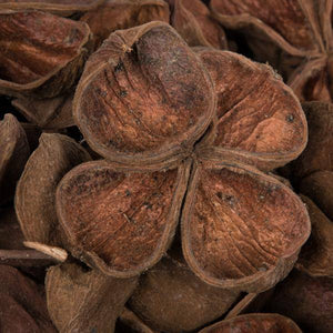3.2"-4" Land Lotus (50 pack) 4