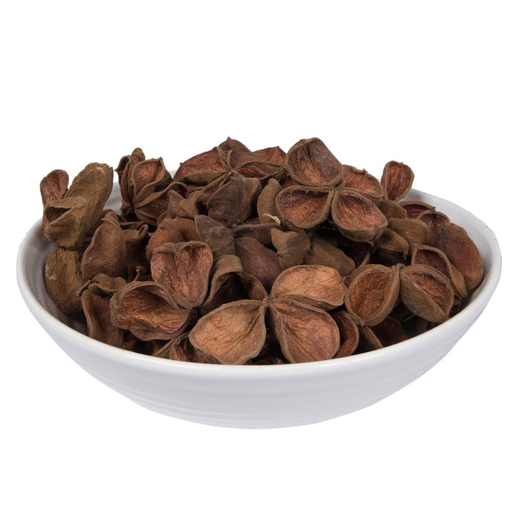 3.2"-4" Land Lotus (50 pack) 1