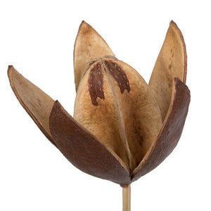 20" Lily on Stem (50 Pack) 2