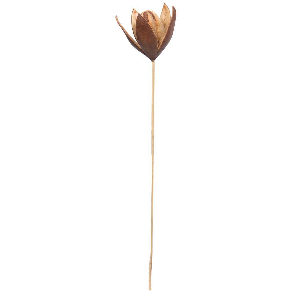 20" Lily on Stem (50 Pack) 1