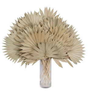 20" Palm Sun Spear Natural Spear (50 pack) 2