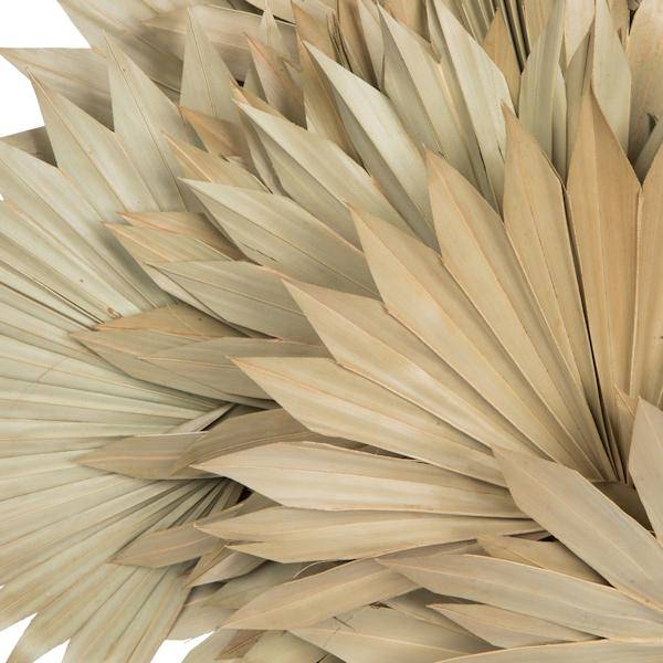 20" Palm Sun Spear Natural Spear (50 pack) 3