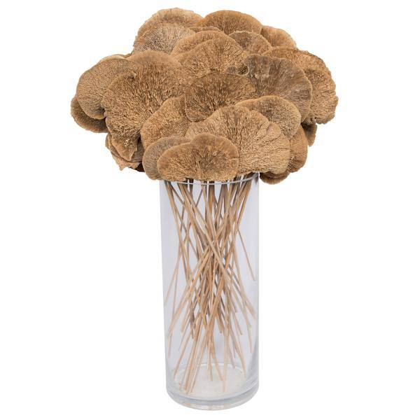 4"-6" Sponge Mushroom on 20" Stem (50 pack) 3