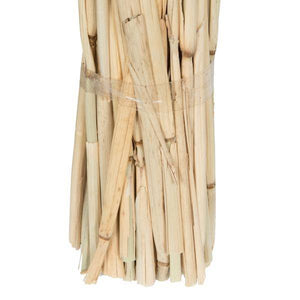 24" Babala Natural Stems (75 pack) 3