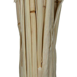 24" Babala Bleached Stems (50 pack) 3