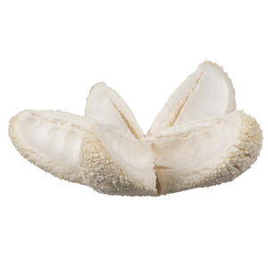 2.36" Bullet Flower Bleached on Stem (50 Pack) 2
