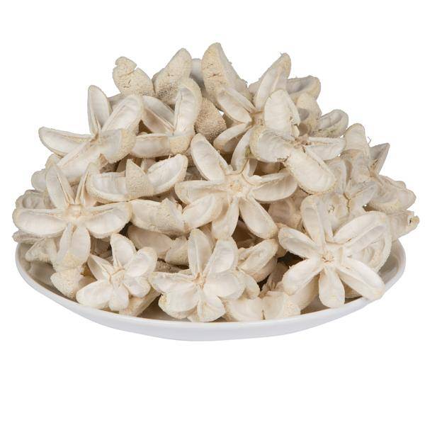 2.36" Bullet Flower Bleached on Stem (50 Pack) 3