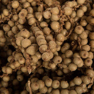 6"-8" Natural Canella (25 Pack) 3