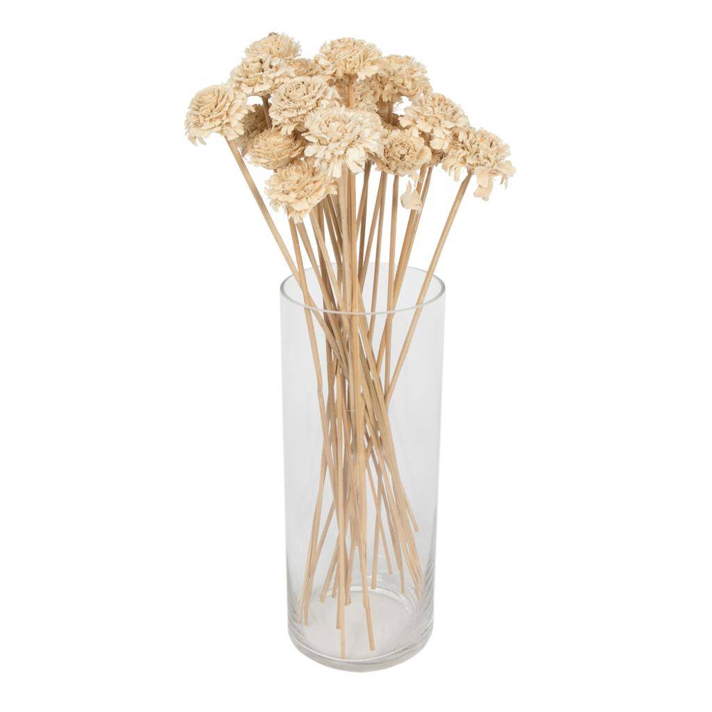 1.3-1.75" Cedar Rose Bleached (50 pack) 1