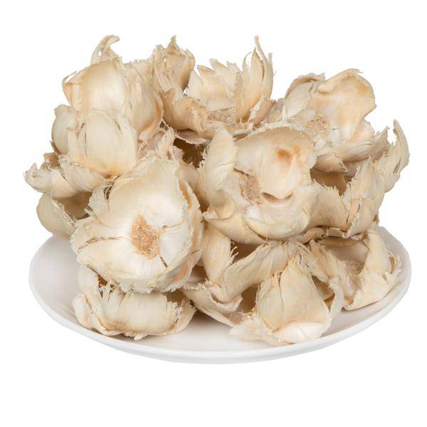 2.75" Palm Cap Bleached Pod (25 pieces) 3
