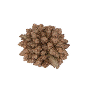 0.8" Star Flower Natural Star Pod (2 Kilograms) 1