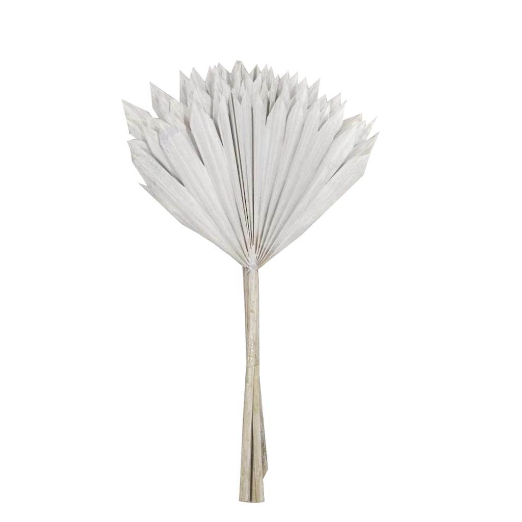 20" White Washed Palm Sun Stem (12 pack) 1