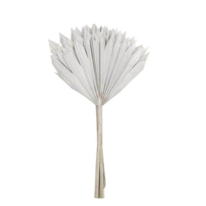 20" White Washed Palm Sun Stem (12 pack) 1