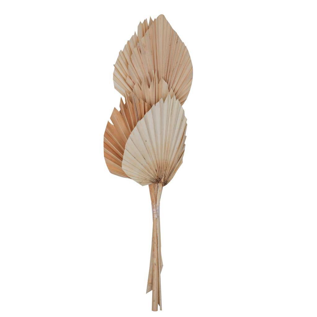 21" Bleached King Palm Spear (10 pack) 1