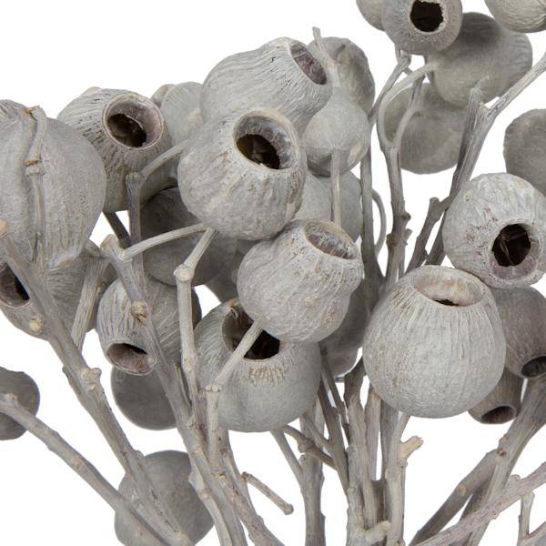 11"x4" Ivory Bellgum 5-7 Bells Preserved Tortum Bundle (10 Pack) 2