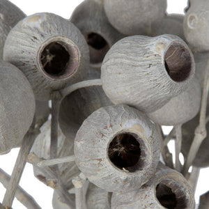 11"x4" Ivory Bellgum 5-7 Bells Preserved Tortum Bundle (10 Pack) 3